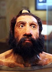 Homo neanderthalensis adult male head model Smithsonian Museum of Natural History 2012 05 17